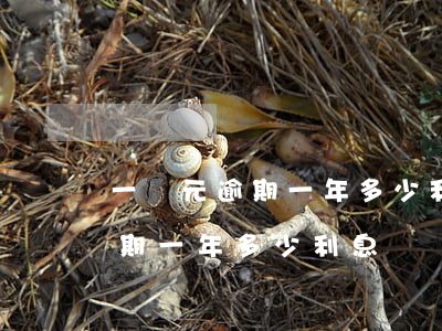 一萬元逾期一年多少利息是多少-1萬元逾期一年多少利息
