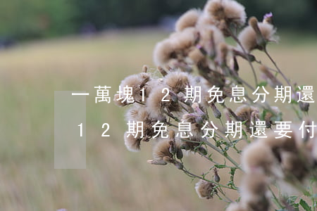 一萬塊12期免息分期還要付多少-一萬塊12期免息分期還要付多少利息