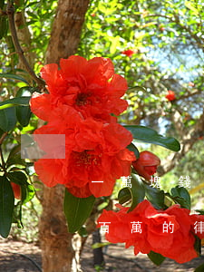 一萬塊錢律師費(fèi)是百分之多少(一百萬的律師費(fèi)多少錢)