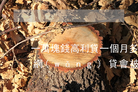 一萬塊錢高利貸一個月多少錢（一萬塊高利貸網(wǎng)貸會被起訴嗎）