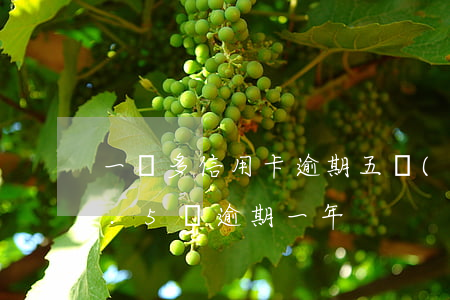 一萬多信用卡逾期五個(gè)月(信用卡1.5萬逾期一年)