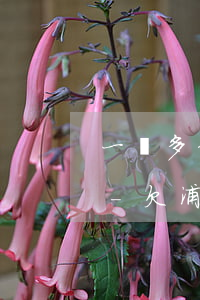 一萬多信用卡逾期法院受理嗎浦發(fā)-欠浦發(fā)銀行信用卡一萬二本金起訴會坐牢嗎?