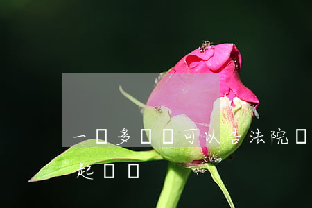 一萬多塊錢可以告法院嗎(一萬元可以去法院起訴嗎)