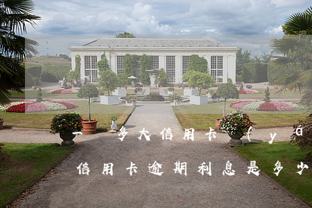 一萬多大信用卡嚴(yán)重逾期(一萬多信用卡逾期利息是多少)