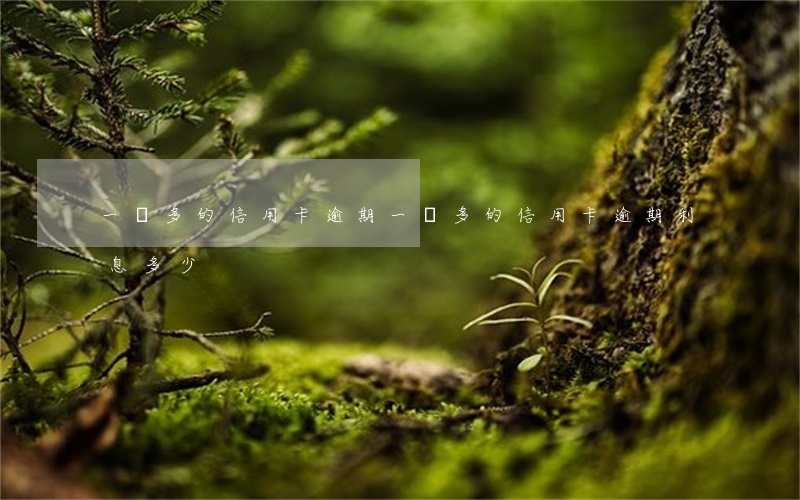 一萬多的信用卡逾期 一萬多的信用卡逾期利息多少