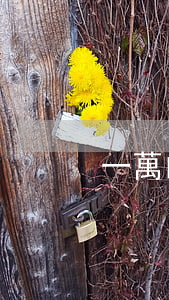 一萬的信用卡逾期四年