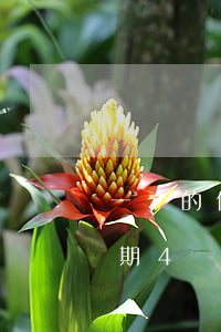 一萬的信用卡逾期四年(信用卡欠款1萬多逾期4個(gè)月)