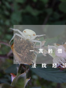 一萬的借條可以上法院起訴嗎(借條一萬元向法院起訴需要多少費(fèi)用)