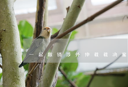 一起撤销涉外仲裁裁决案的剖析