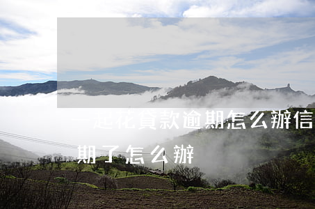 一起花貸款逾期怎么辦(信用卡網貸花唄都逾期了怎么辦)