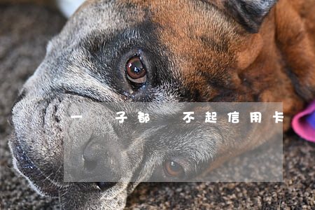 一輩子都還不起信用卡