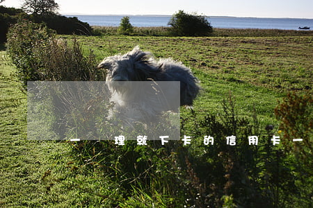一辦理就下卡的信用卡(一申請就過的信用卡)