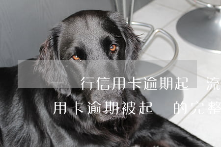 一銀行信用卡逾期起訴流程，深入了解：銀行信用卡逾期被起訴的完整流程