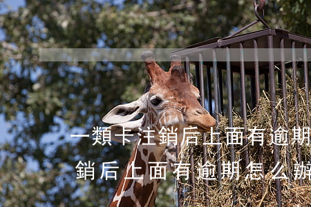 一類卡注銷后上面有逾期怎么辦-一類卡注銷后上面有逾期怎么辦呢