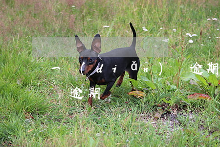 一點(diǎn)車逾期(一點(diǎn)車逾期)