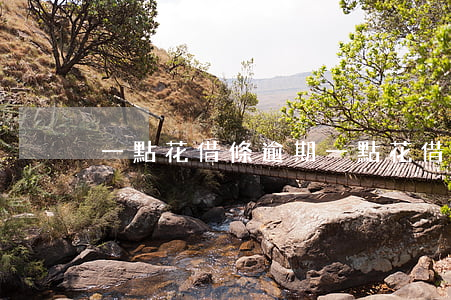 一點花借條逾期(一點花借條逾期)