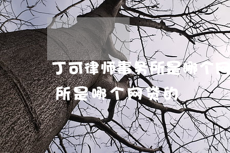 丁可律师事务所是哪个网贷的(丁可律师事务所是哪个网贷的)