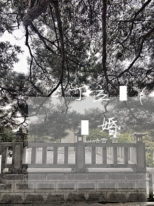 丁立強(qiáng)杜夢(mèng)瑩離婚