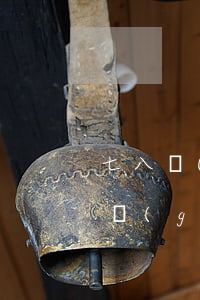 七八個(gè)網(wǎng)貸逾期一二個(gè)月(網(wǎng)貸逾期每月還幾百)