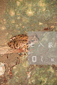 七八家平臺(tái)欠款十來(lái)萬(wàn)逾期怎么辦-七八家平臺(tái)欠款十來(lái)萬(wàn)逾期怎么辦啊