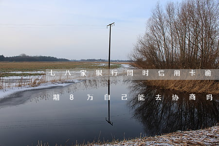 七八家银行同时信用卡逾期怎么办（信用卡逾期8万自己能去协商吗）
