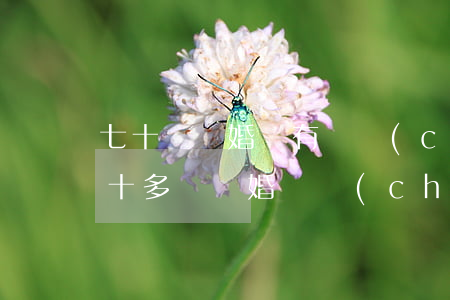 七十歲離婚沒有財產(chǎn)怎么分(五十多歲離婚財產(chǎn)怎么分)