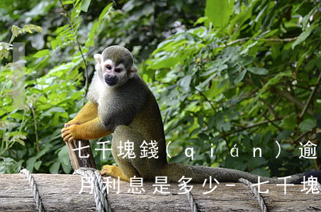 七千塊錢(qián)逾期了一個(gè)月利息是多少-七千塊錢(qián)逾期了一個(gè)月利息是多少錢(qián)