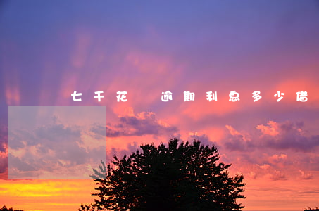 七千花唄逾期利息多少(借唄逾期7萬多)