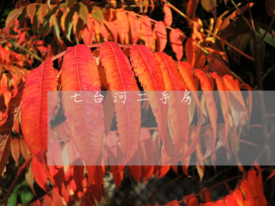 七台河二手房