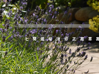 七問選舉法修正案草案