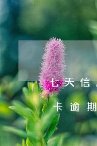 七天信用卡逾期協(xié)商怎么樣(信用卡逾期7天怎么辦)