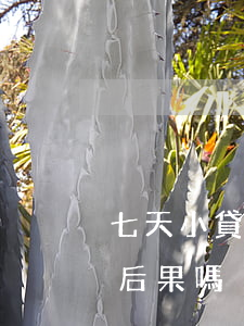 七天小貸逾期會起訴嗎(銀行貸款逾期七天有后果嗎)