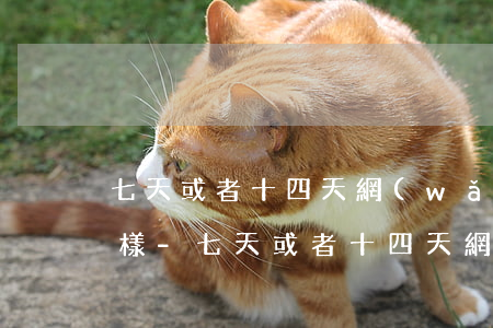 七天或者十四天網(wǎng)貸逾期會怎樣-七天或者十四天網(wǎng)貸逾期會怎樣處理