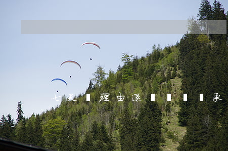 七天無理由退貨運費誰承擔