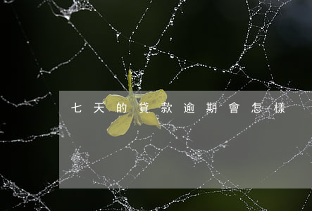 七天的貸款逾期會怎樣