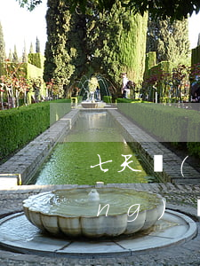 七天網(wǎng)貸欠了幾十個(網(wǎng)貸欠款7萬)