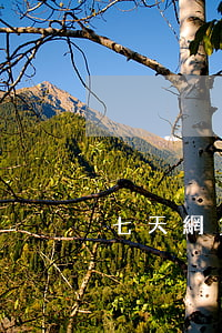七天網貸逾期會轟炸多久(有沒有七天的網貸)