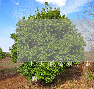 七天网贷对方起诉会(网贷被起诉会通知家属吗)