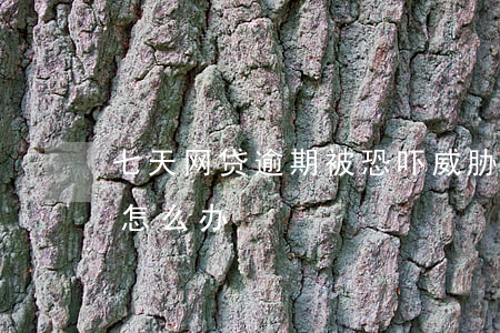 七天网贷逾期被恐吓威胁(网贷逾期后被威胁怎么办)