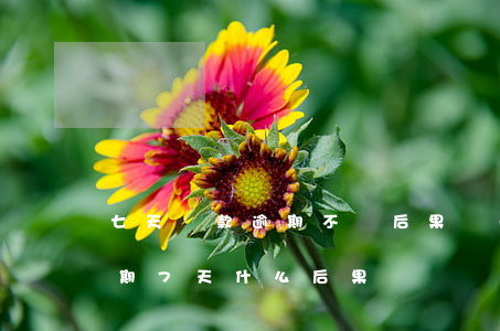 七天貸款逾期不還后果(網(wǎng)貸逾期7天什么后果)