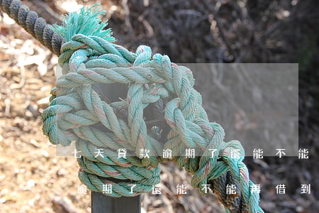 七天貸款逾期了還能不能再借到-七天貸款逾期了還能不能再借到錢了