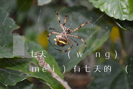 七天貸網(wǎng)貸逾期還不上(有沒(méi)有七天的網(wǎng)貸)
