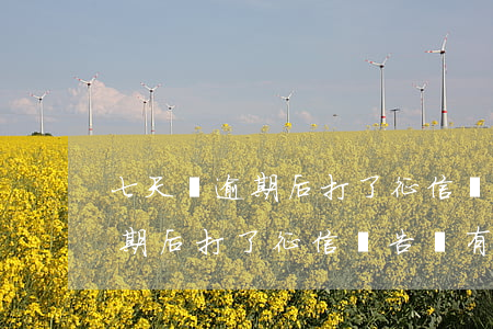 七天貸逾期后打了征信報告沒有-七天貸逾期后打了征信報告沒有記錄