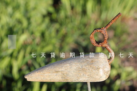 七天貸逾期(貸款逾期七天)