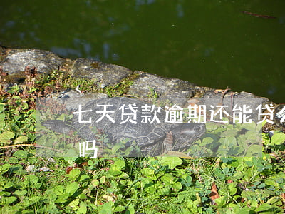 七天贷款逾期还能贷么(逾期七个月还能贷款吗)