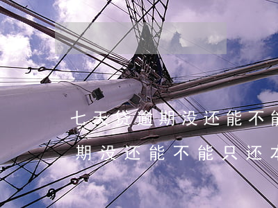 七天贷逾期没还能不能只还本金-七天贷逾期没还能不能只还本金呢