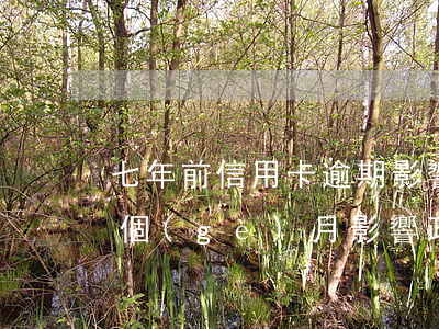 七年前信用卡逾期影響征信嗎（信用卡逾期七個(gè)月影響政審嗎）