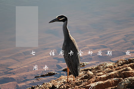 七張信用卡全部逾期 無故多了一張逾期的信用卡