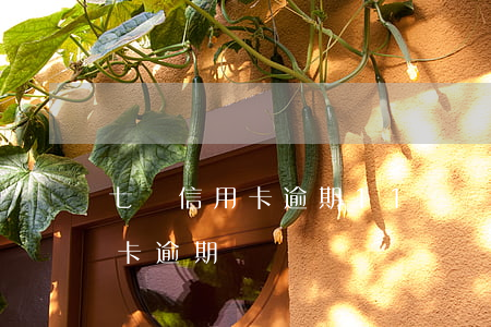 七張信用卡逾期11萬會被起訴(十多張信用卡逾期)
