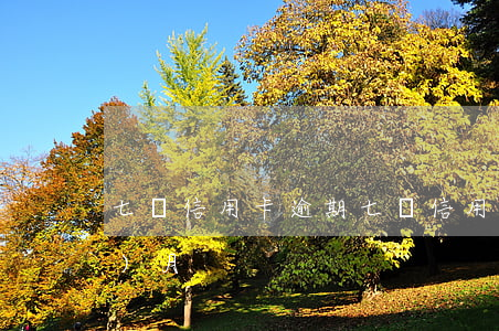 七張信用卡逾期 七張信用卡逾期6個(gè)月